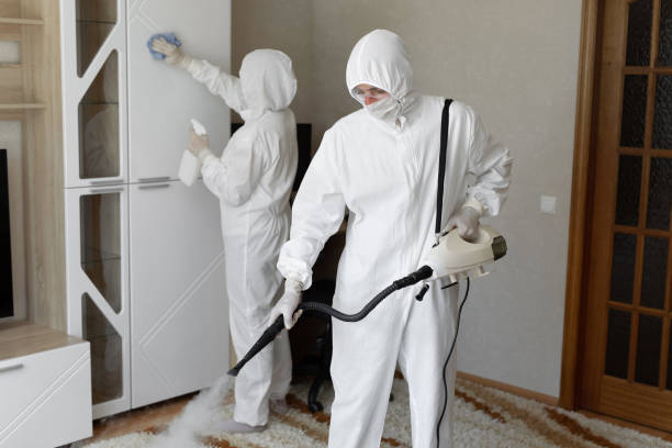 Water Damage Restoration in Morris, IL